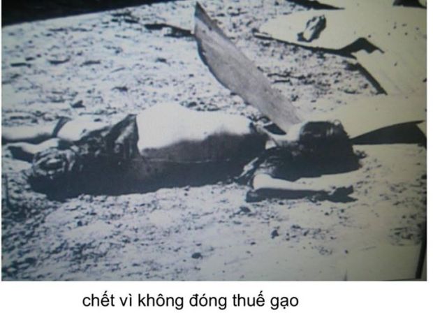 Bị giết vì không đóng thuế gạo cho Việt cộng